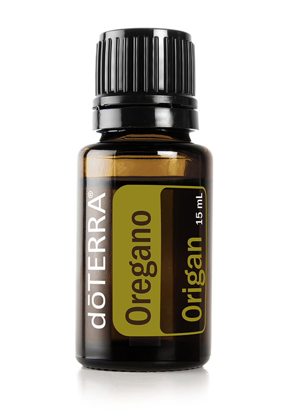 Huile d'origan   Origanum vulgare