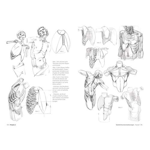 Morpho 2 - Mehr Anatomie für Künstler