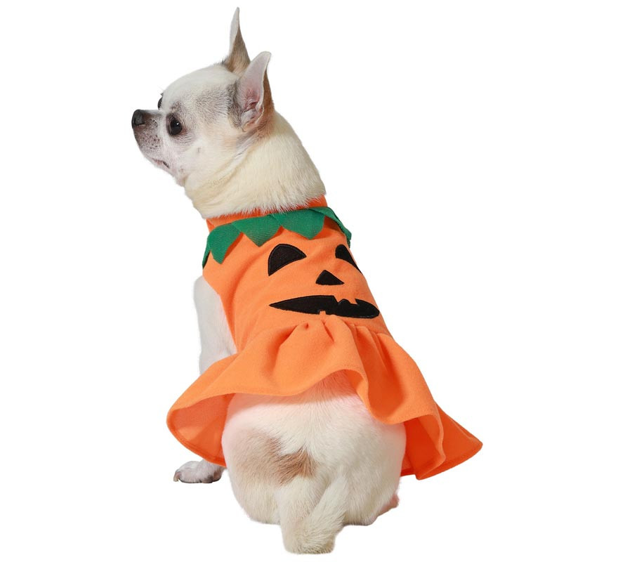 Fantasia de Abóbora de Halloween da Atosa para Cães