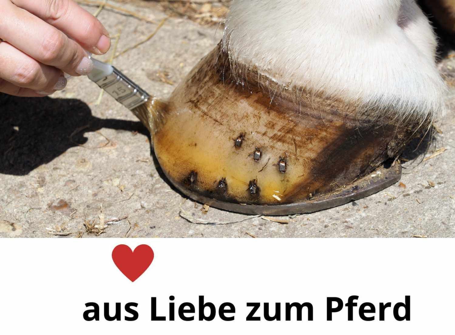 B & E Huföl mit Pinsel