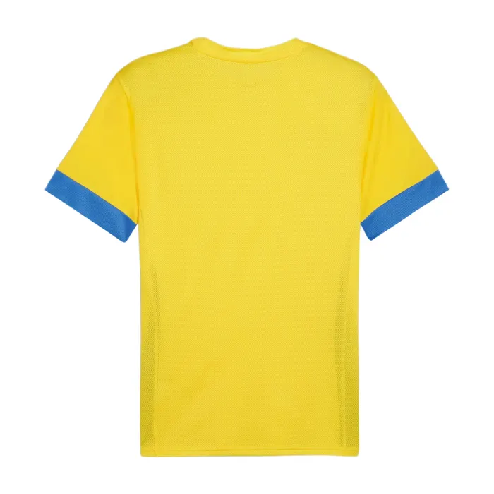 Puma TeamGOAL Matchday Shirt Heren