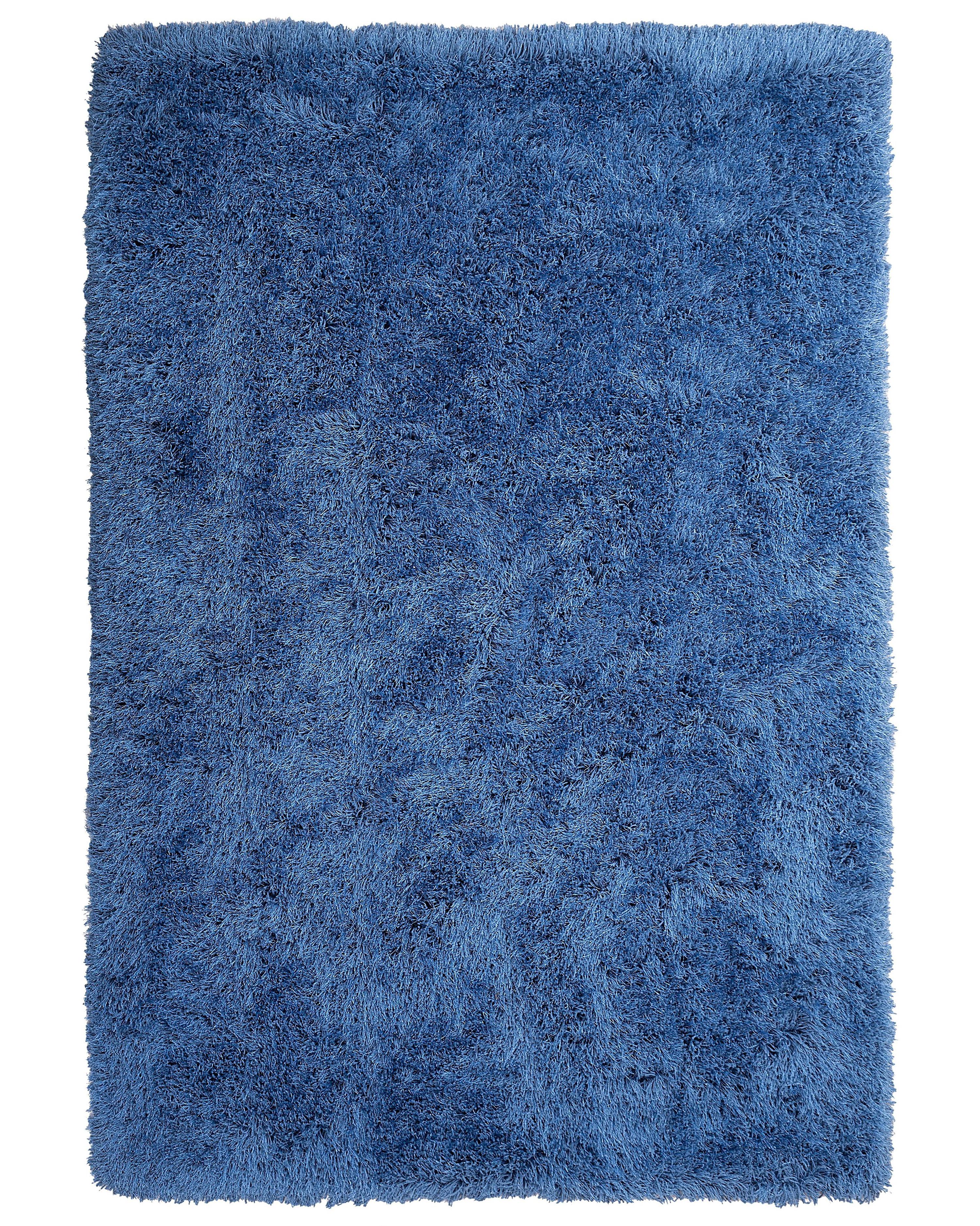 Hoogpoligvloerkleed CIDE Blauw 200 x 300 cm