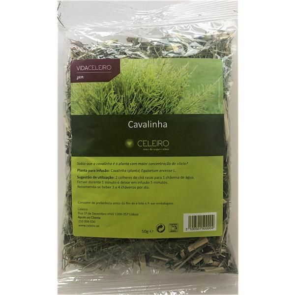 Chá Cavalinha Planta
