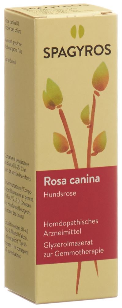 Spagyros Rosa canina Glyc Maz 1 D Spr 30 ml