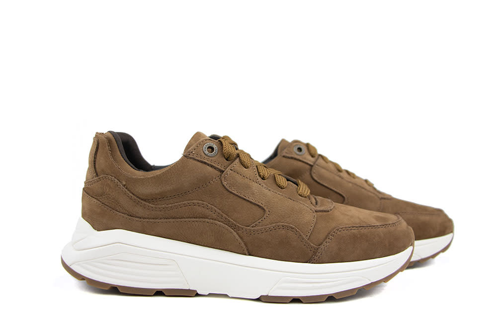 Xsensible Golden Gate Men Cognac H