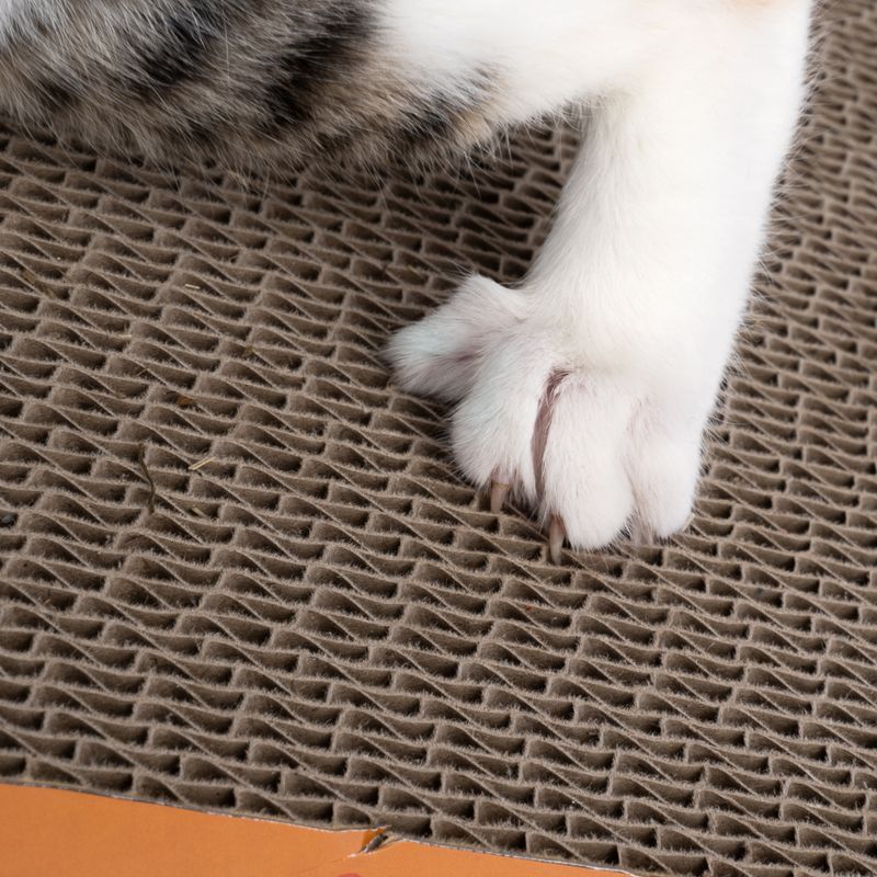 Griffoir TIAKI Cornet de glace en carton pour chat
