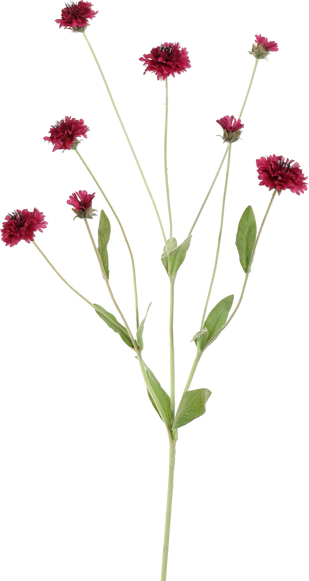 Jasaco Pure kunstbloem Korenbloem paars 90 cm