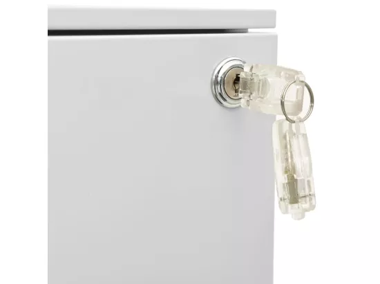 Classeur mobile Gris clair 39x45x67 cm Acier