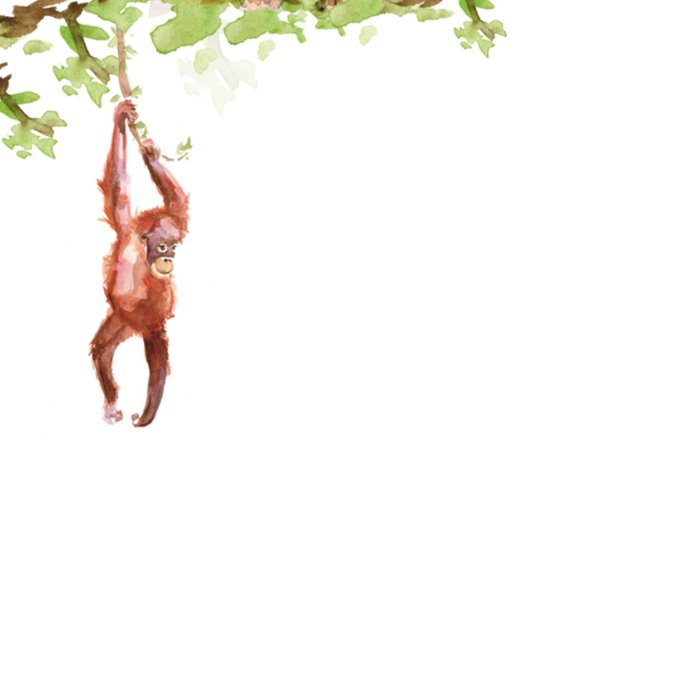 Michelle Dujardin | Vriendschapskaart | aap