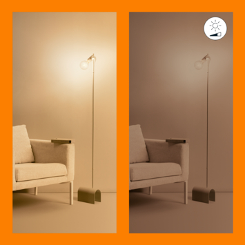 WiZ Connected LED globe E27 60W filament helder koel tot warmwit licht dimbaar