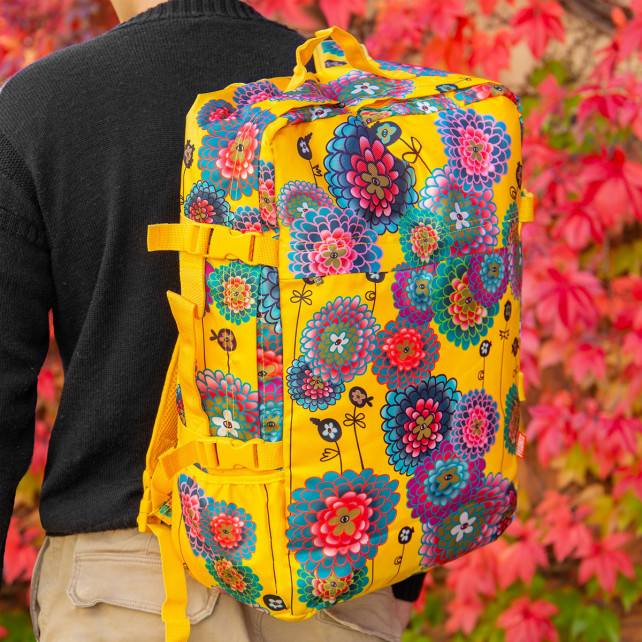 Sac cabine - Explorer 27 Litres