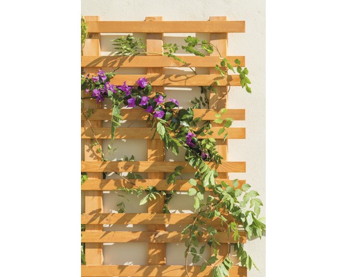 Design trellis Konsta Carré 120 x 160 cm kersenboomlook