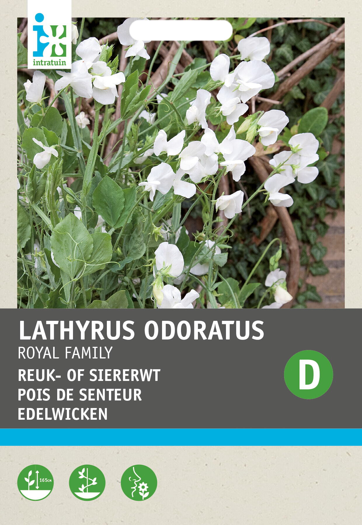 Intratuin bloemenzaad Siererwt wit (Lathyrus odoratus 'Royal Family')