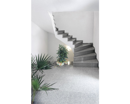 Granieten voet Palace Grey 8 x 30,5 x 0,8 cm