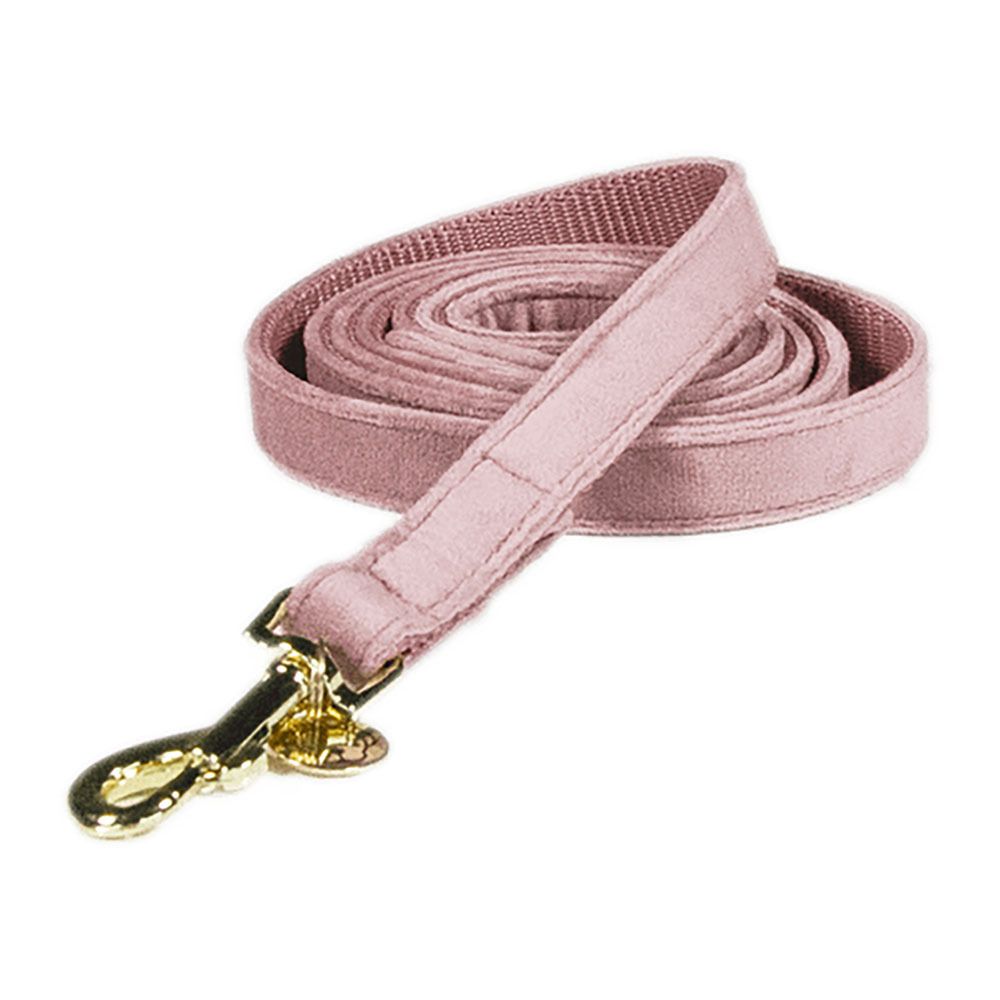 Kentucky VELVET - Laisse pour chien old rose