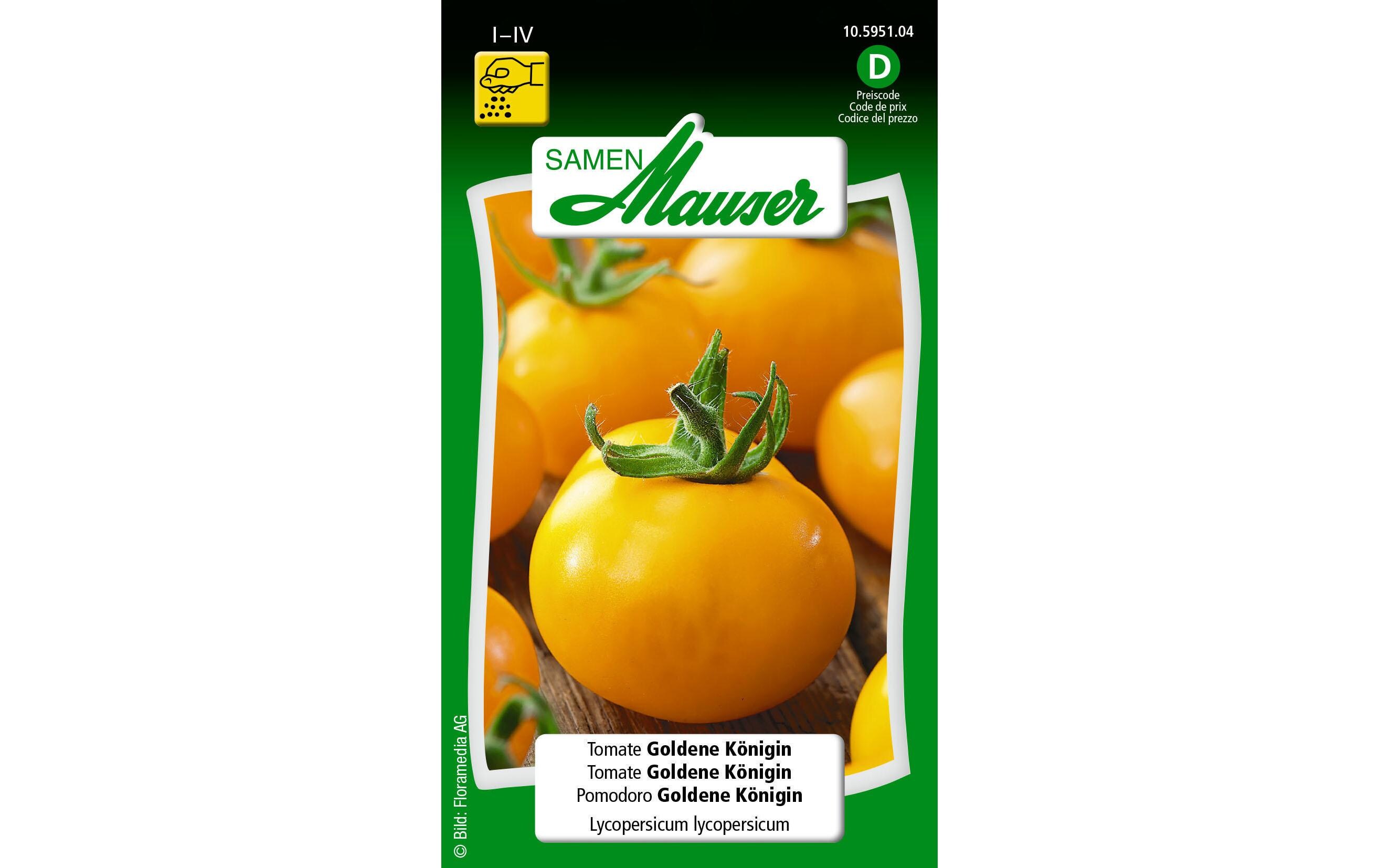 Samen Tomate Goldene KöniginGemüsesamen