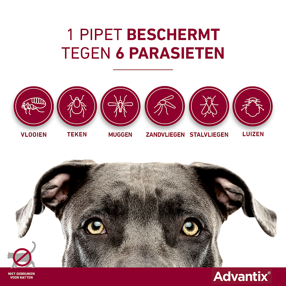 Advantix vlooienmiddel hond