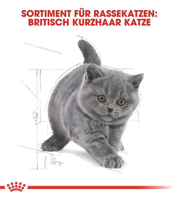 ROYAL CANIN® Trockenfutter für Katzen