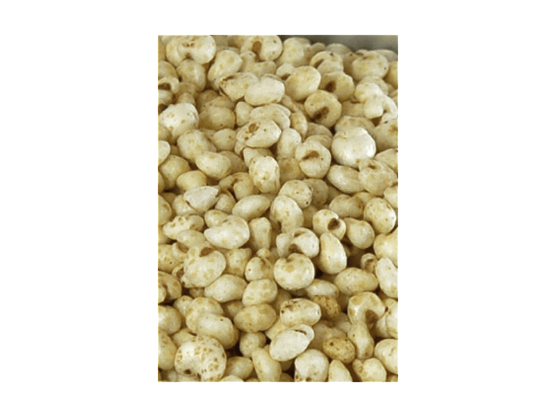Vet-concept Gierst Hond Kat 2 x 500 gram
