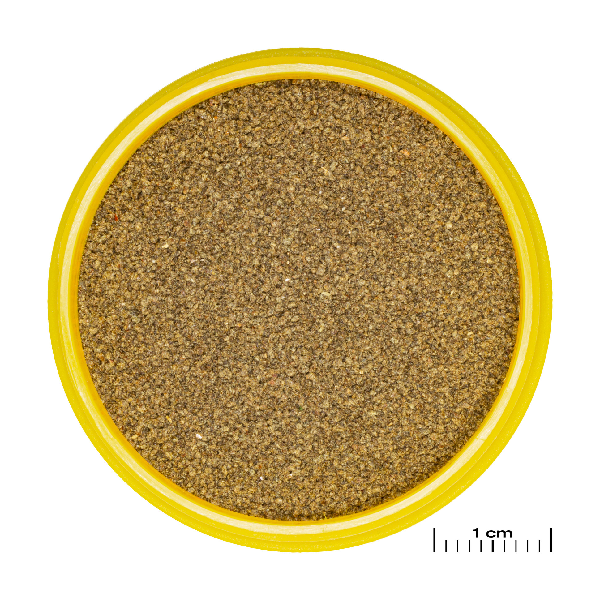 JBL Pronovo Neon Grano XXS 100ml Click | Zinkend granulaat