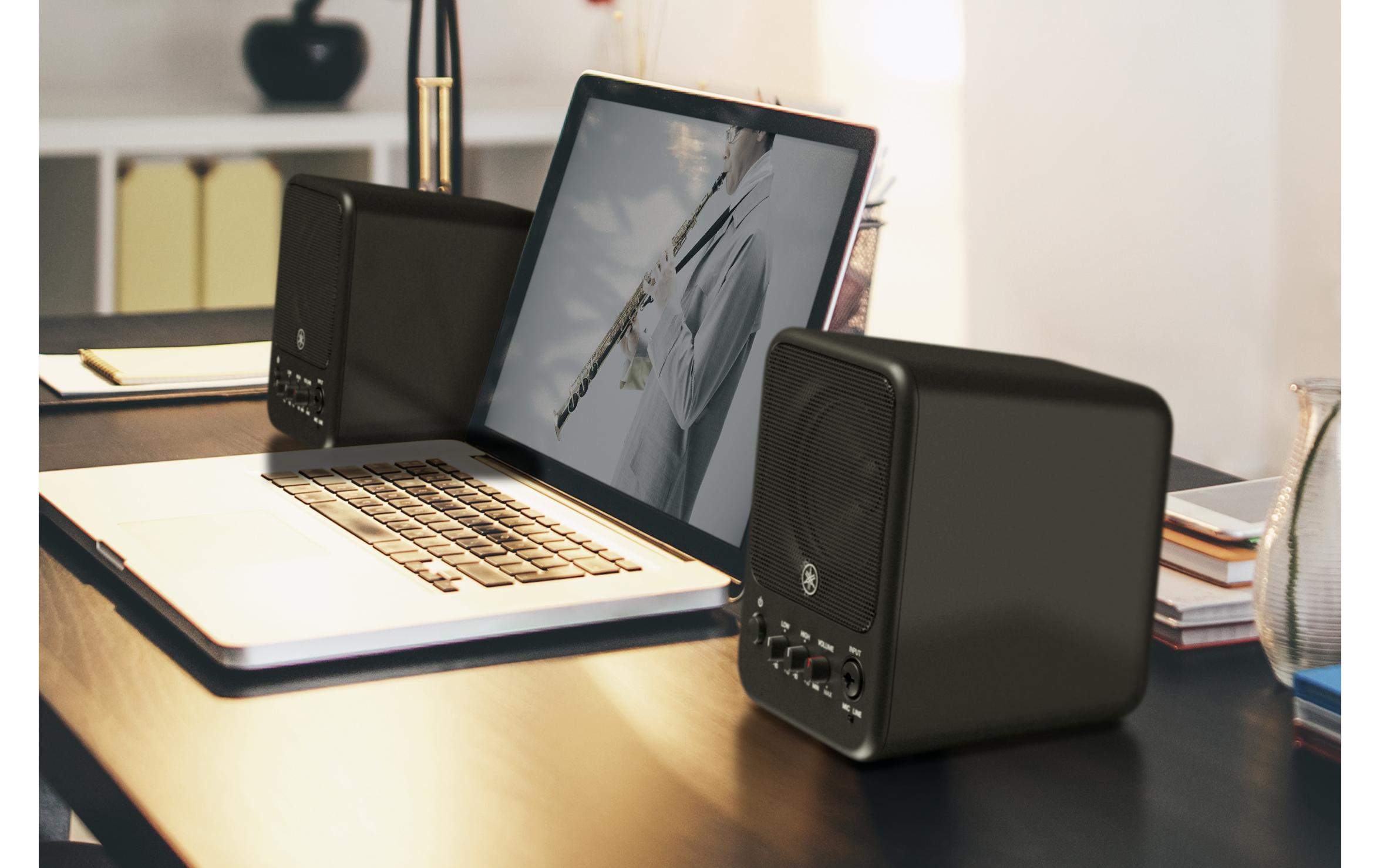 Studiomonitor MS101-4 – 30 W<br>Aktiver Monitorlautsprecher