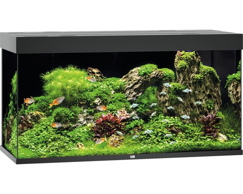 JUWEL Rio 350 aquarium met LED-verlichting, pomp, filter, verwarming (zonder kast), zwart