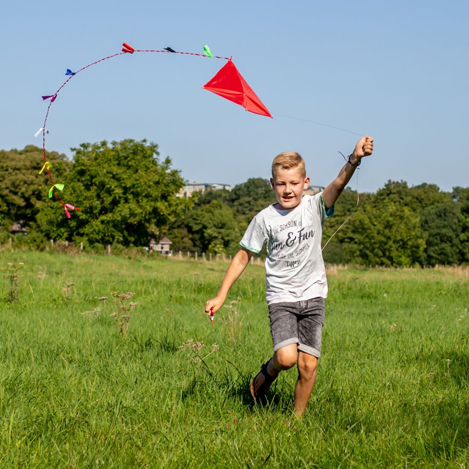 Huckleberry Red Kite (HB11)