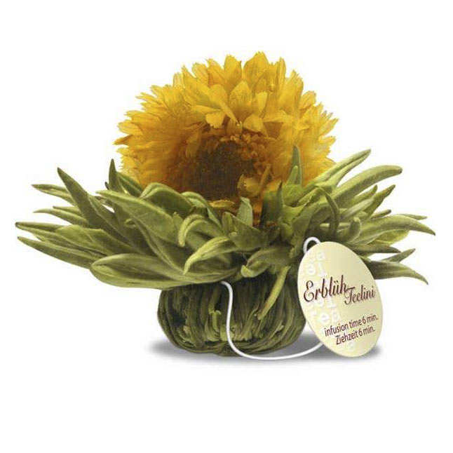 Sachet de 6 fleurs de thé blanc