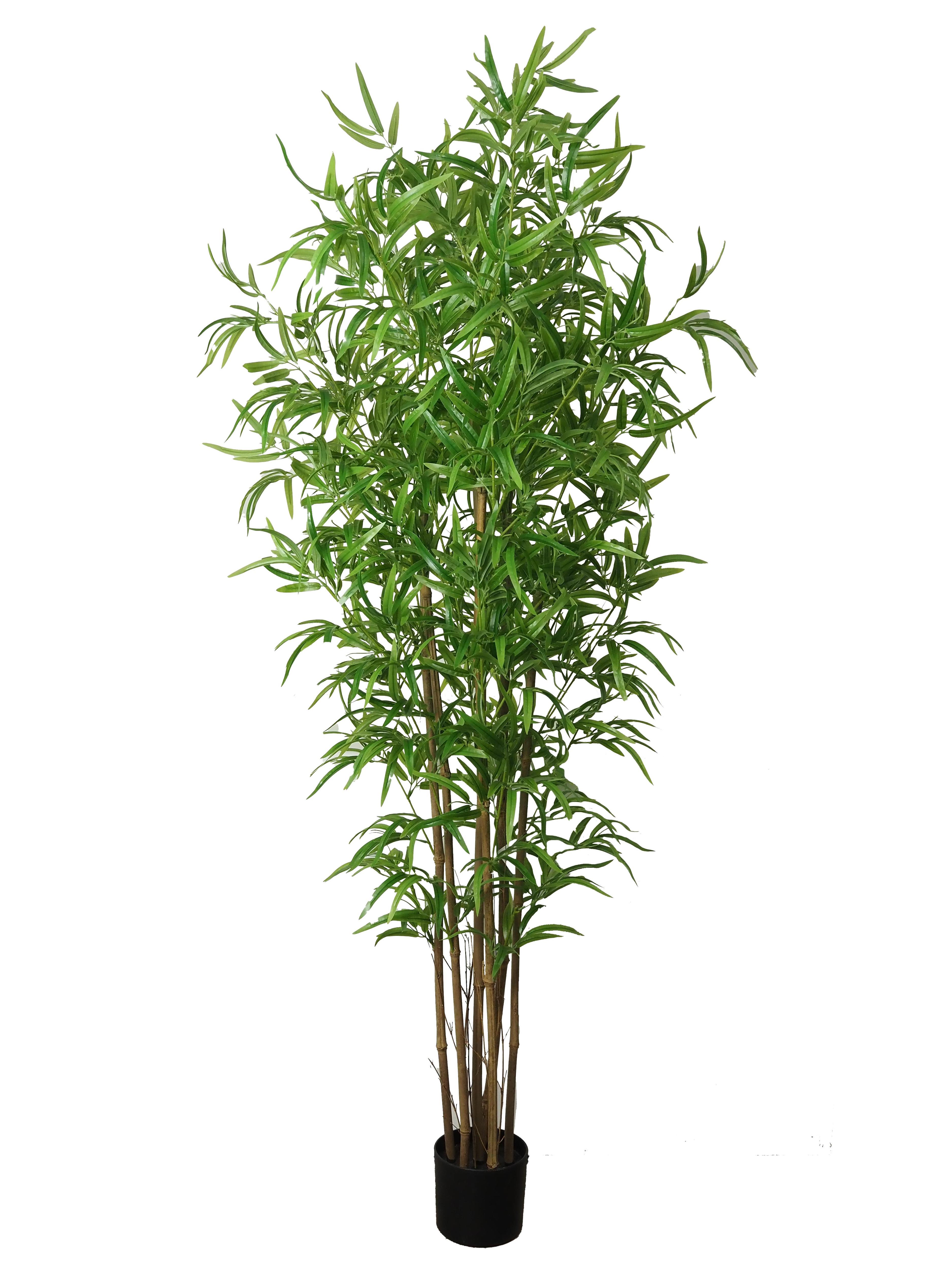 BAMBOU 6 TRONCS POT PLASTIQUE NOIR H.180CM