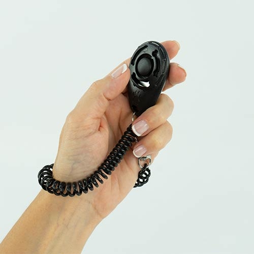 Clicker com elástico Ibáñez