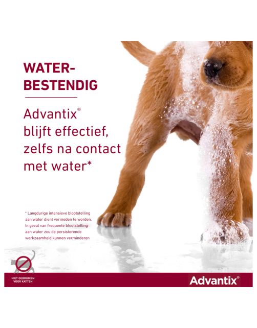Advantix Spot On 250 2.5 ml - Anti vlooien en tekenmiddel
