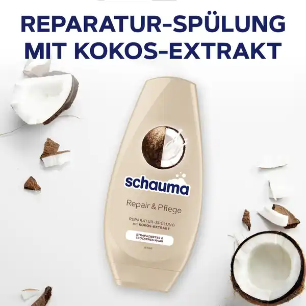 Repair & Pflege Spülung