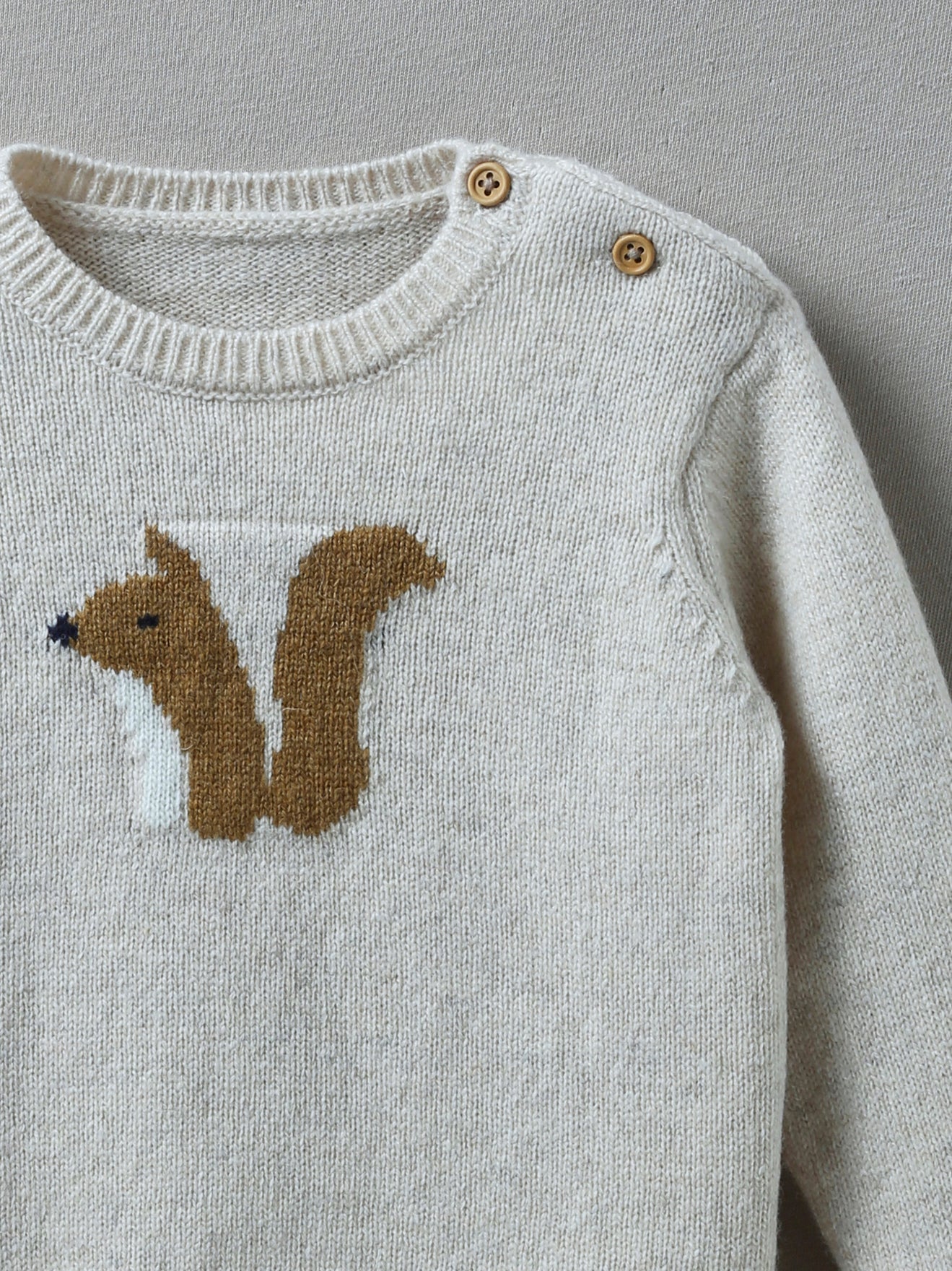 Pull écureuil Bébé en Lambswool