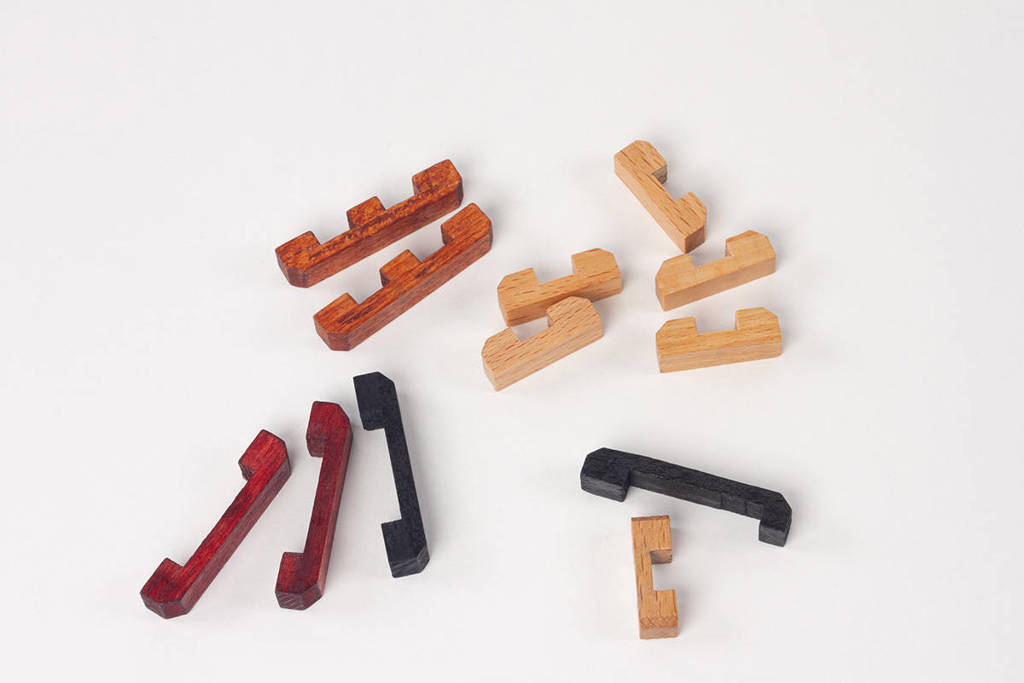Brain Puzzle set of 6