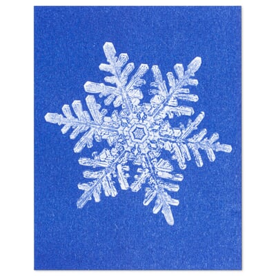 Postkarten-Set Riso Winter, Schneeflocke
