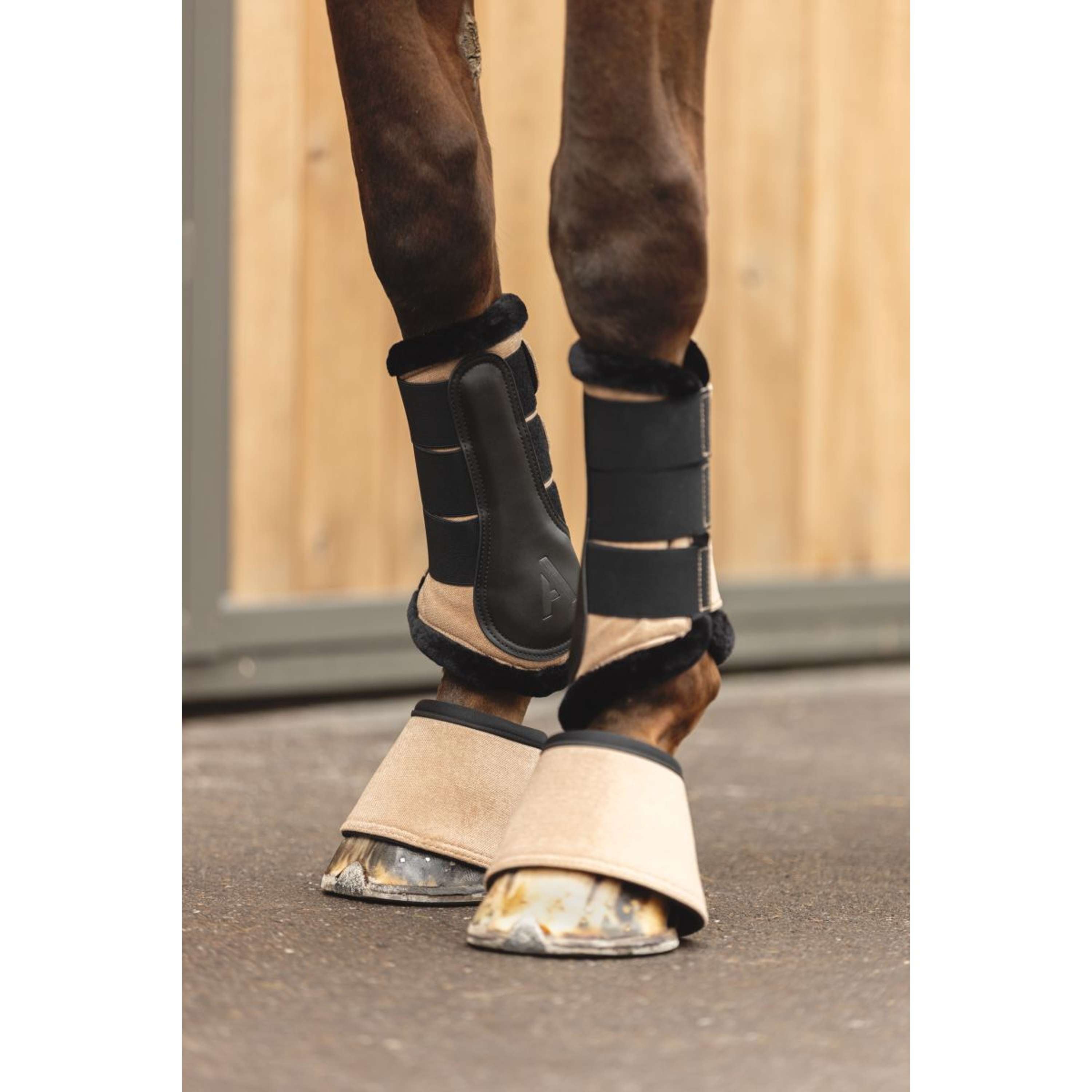 ANKY Springschoenen AW25 Amphora