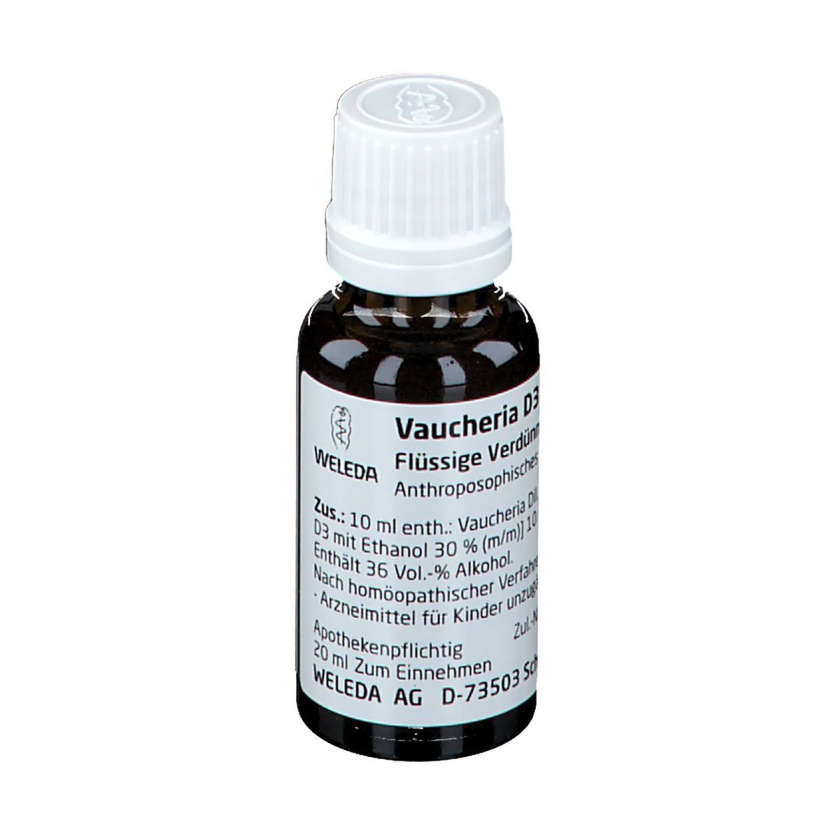 Vaucheria D3 Dilution