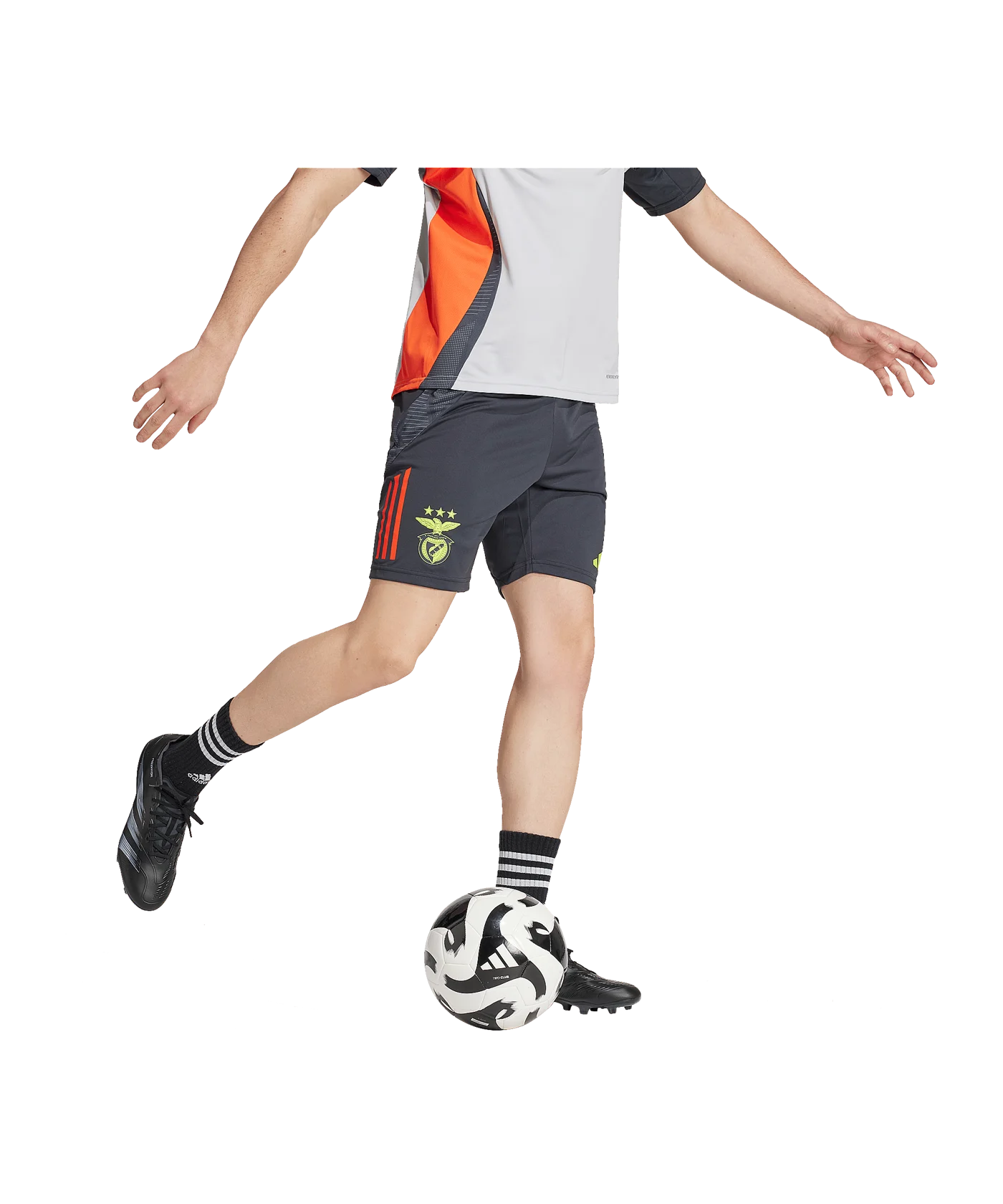 adidas Benfica Lissabon Short Grau