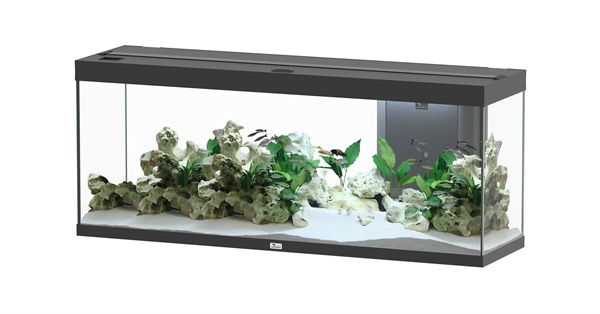 Aquatlantis Splendid 150x40 aquarium | Inclusief LED en filter