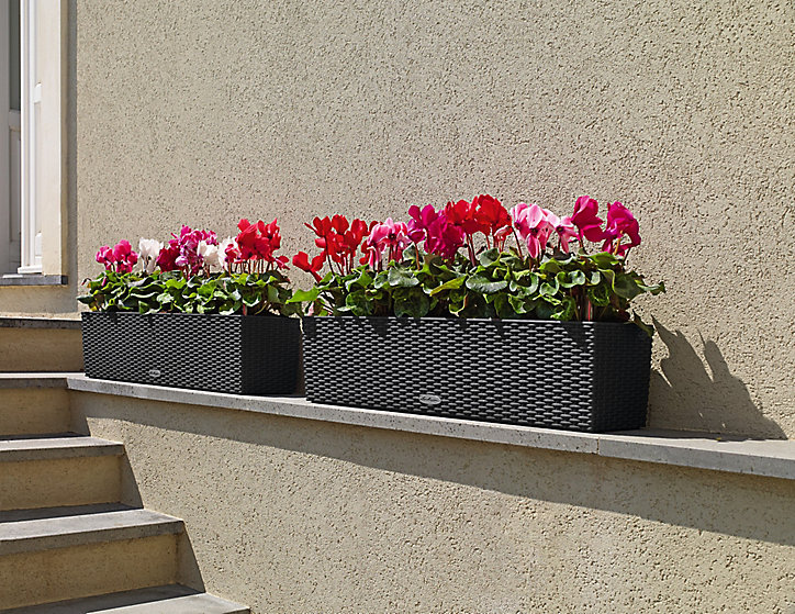 Jardinière Lechuza Cottage granit 80 x 19 x h.19 cm