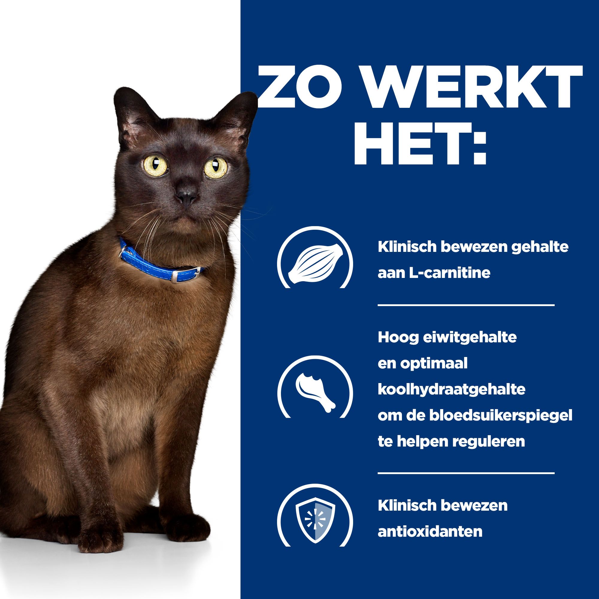 Hill's m/d Glucose / Weight Management - Prescription Diet - Feline - Blik