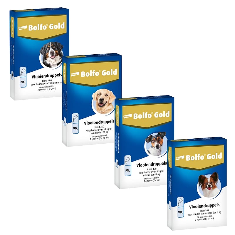 Bolfo Gold hond 40 tot 4 kg 2 pipetten