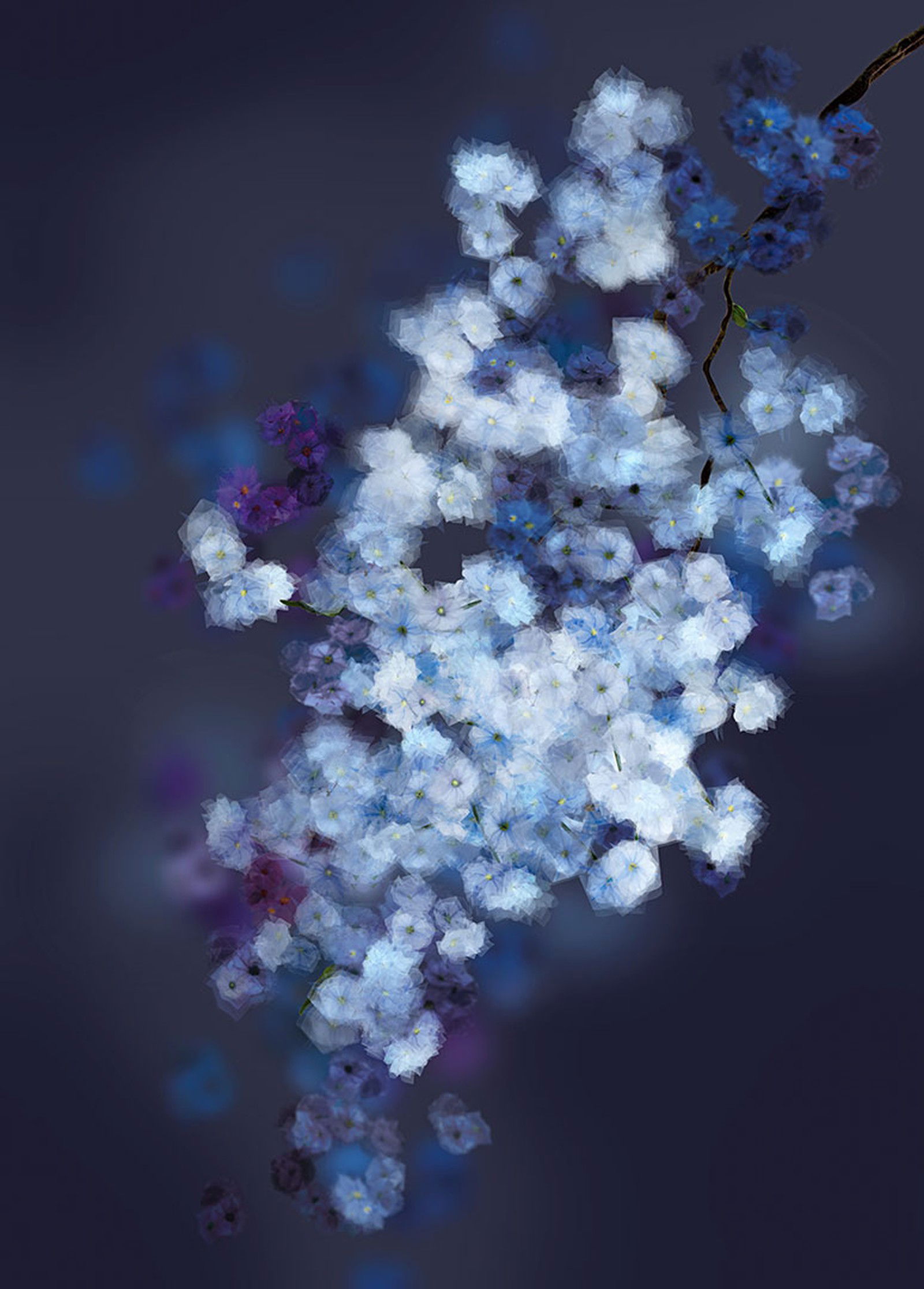 Frühling  in  Simulacrum XVI by Margarete Schrüfer - Limited Edition. Edition of: 150. Signed.