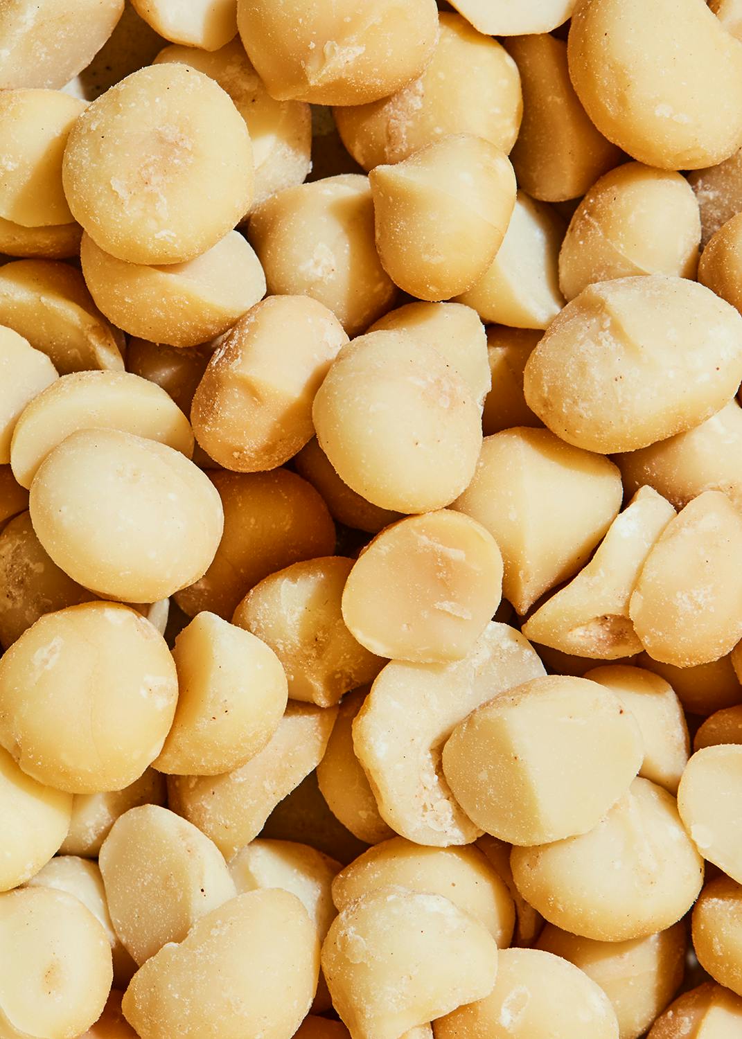 Geröstete und gesalzene Bio Macadamiakerne 500 g