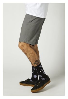 Short Fox Essex 2.0 Gris