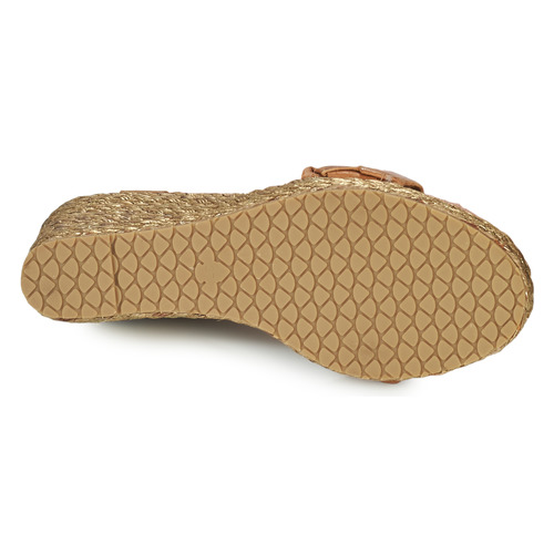 Karston - ETOPIE - Camel