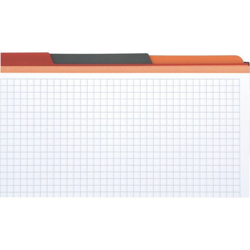 Cahier spirale Filingbook Oxford International A+ 23,3 x 29,8 cm - perforé 4 trous - petits carreaux - 200 pages