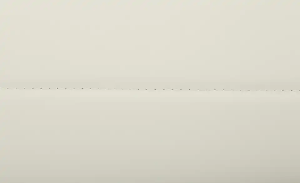 4-Fußstuhl Tino