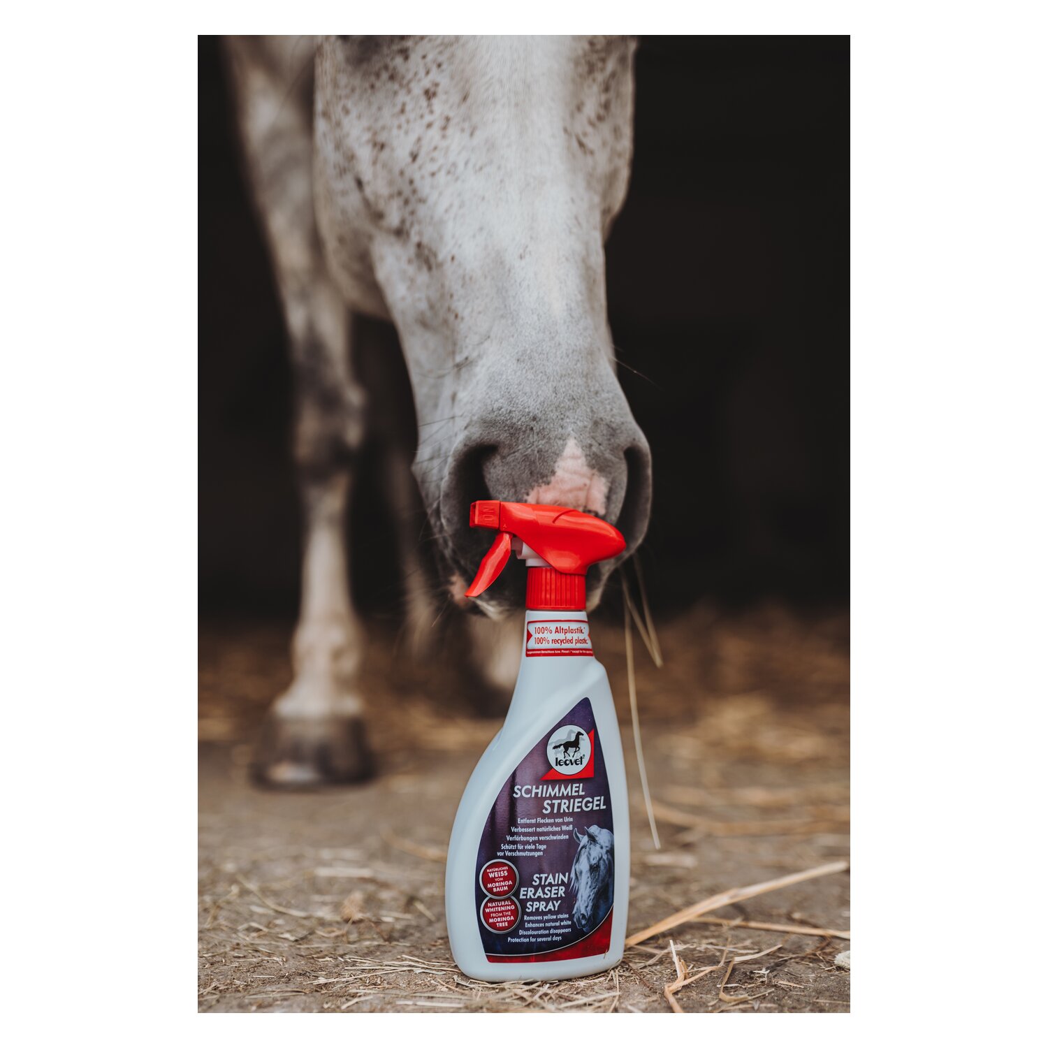 leovet Schimmel Striegel - 550 ml