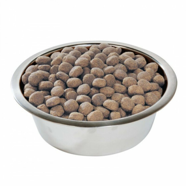Pro Plan Large Adult Robust Sensitive Digestion Agneau